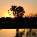 Sunset sur la mangrove
