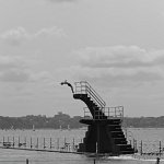Pierre42155_DSCF85254_1