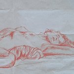 Colibris_20251229_110155