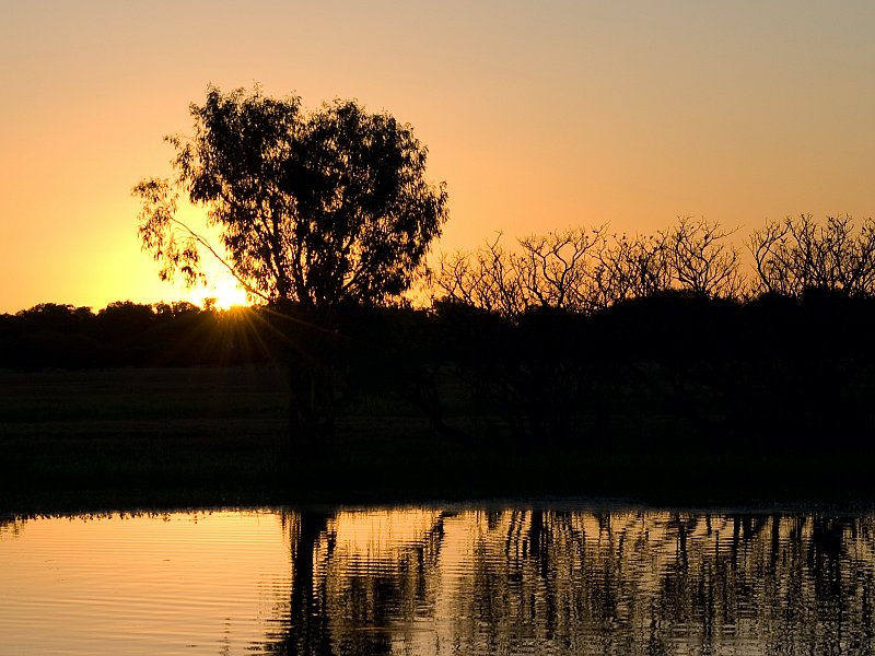 Sunset sur la mangrove