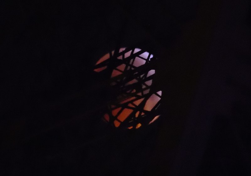 Triangle_Eclipse8w
