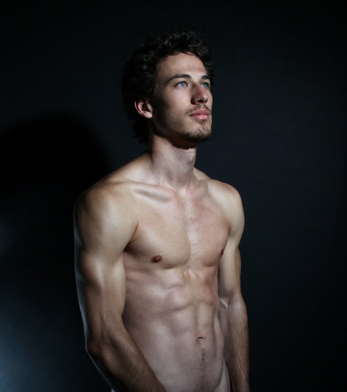 Musculature