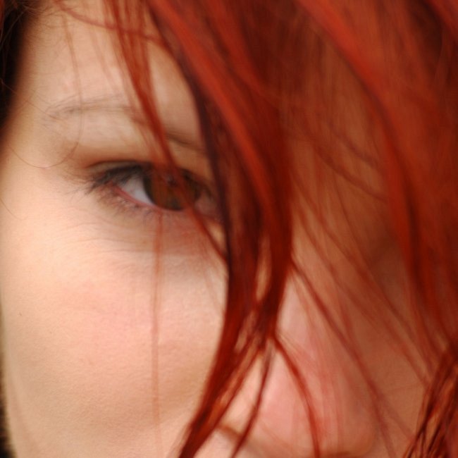 PROFIL 1